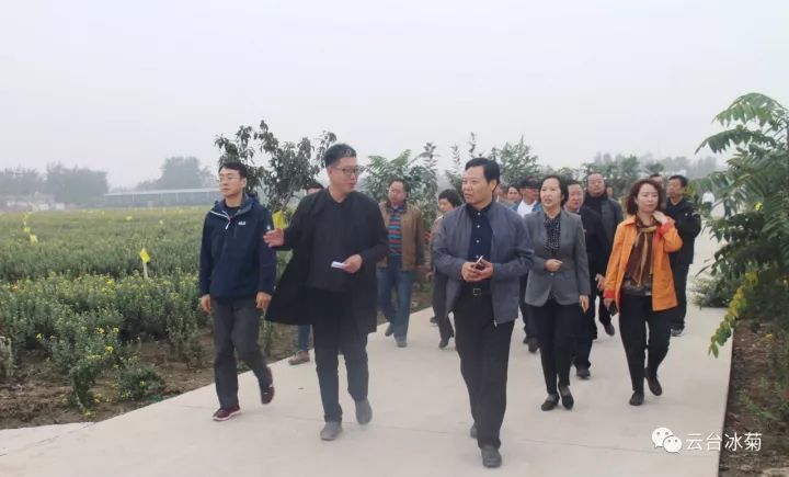 云臺(tái)冰菊基地發(fā)生了什么？一批批領(lǐng)導(dǎo)專家團(tuán)隊(duì)前來(lái)！