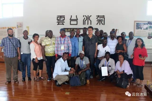 目測(cè)這朵菊花要火，國(guó)外專家為它頻頻而來(lái)······